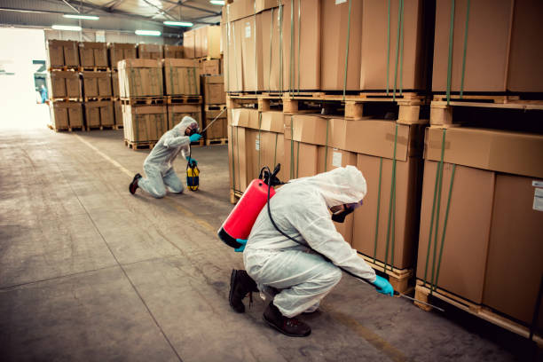 Best Pest Removal Services  in Empire, CA