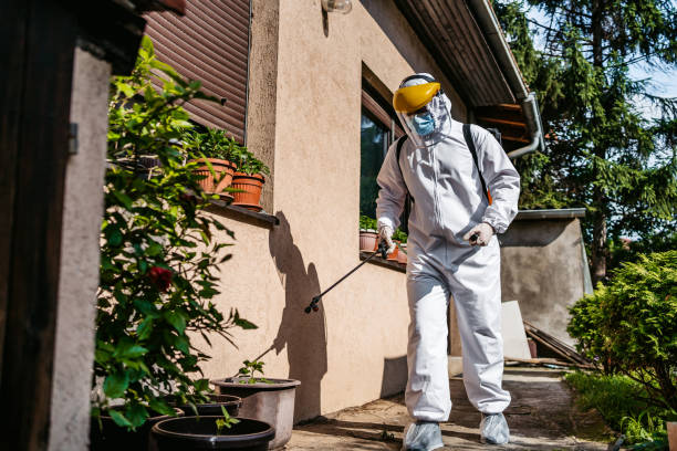 Bird Control in Empire, CA