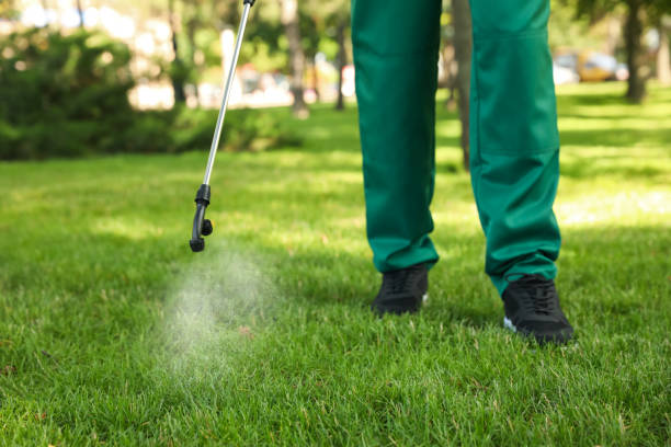 Best Emergency Pest Control  in Empire, CA