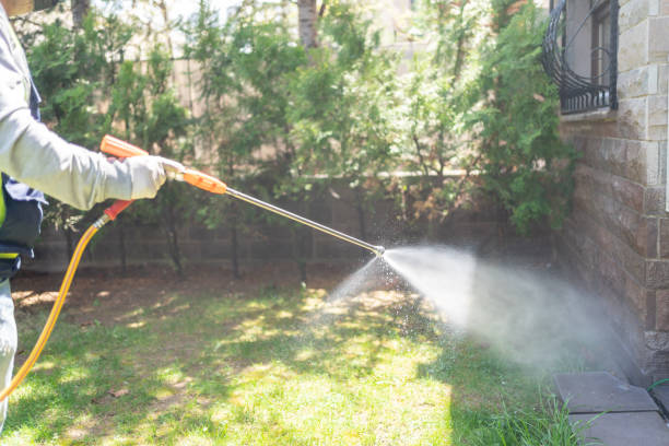 Best Exterminator Services  in Empire, CA