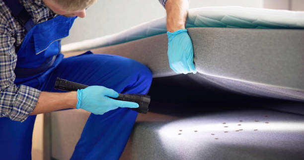 Best Commercial Pest Control Services  in Empire, CA