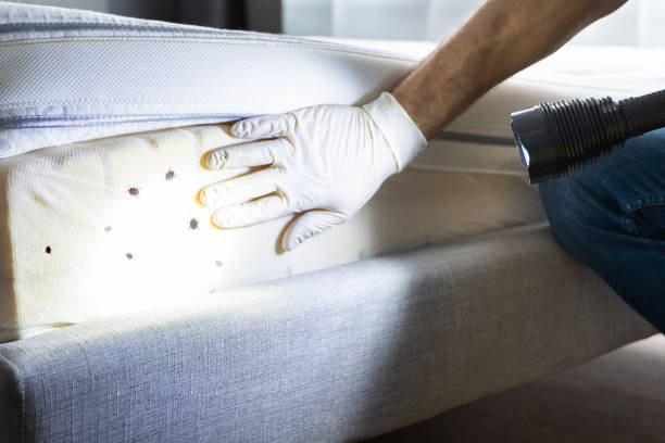 Best Wildlife Control Services  in Empire, CA